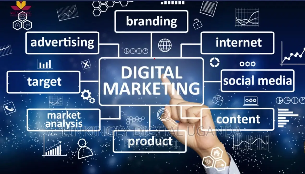 Top Website Developer, E-Commerce and Web Upgrades