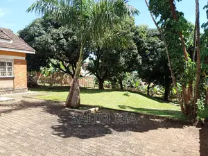 3bdrm Bungalow in Kololo Property, Central Division for rent