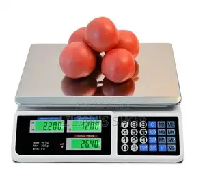 Digital Electronic Computing Scale