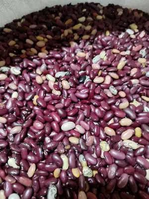 Mixed Beans