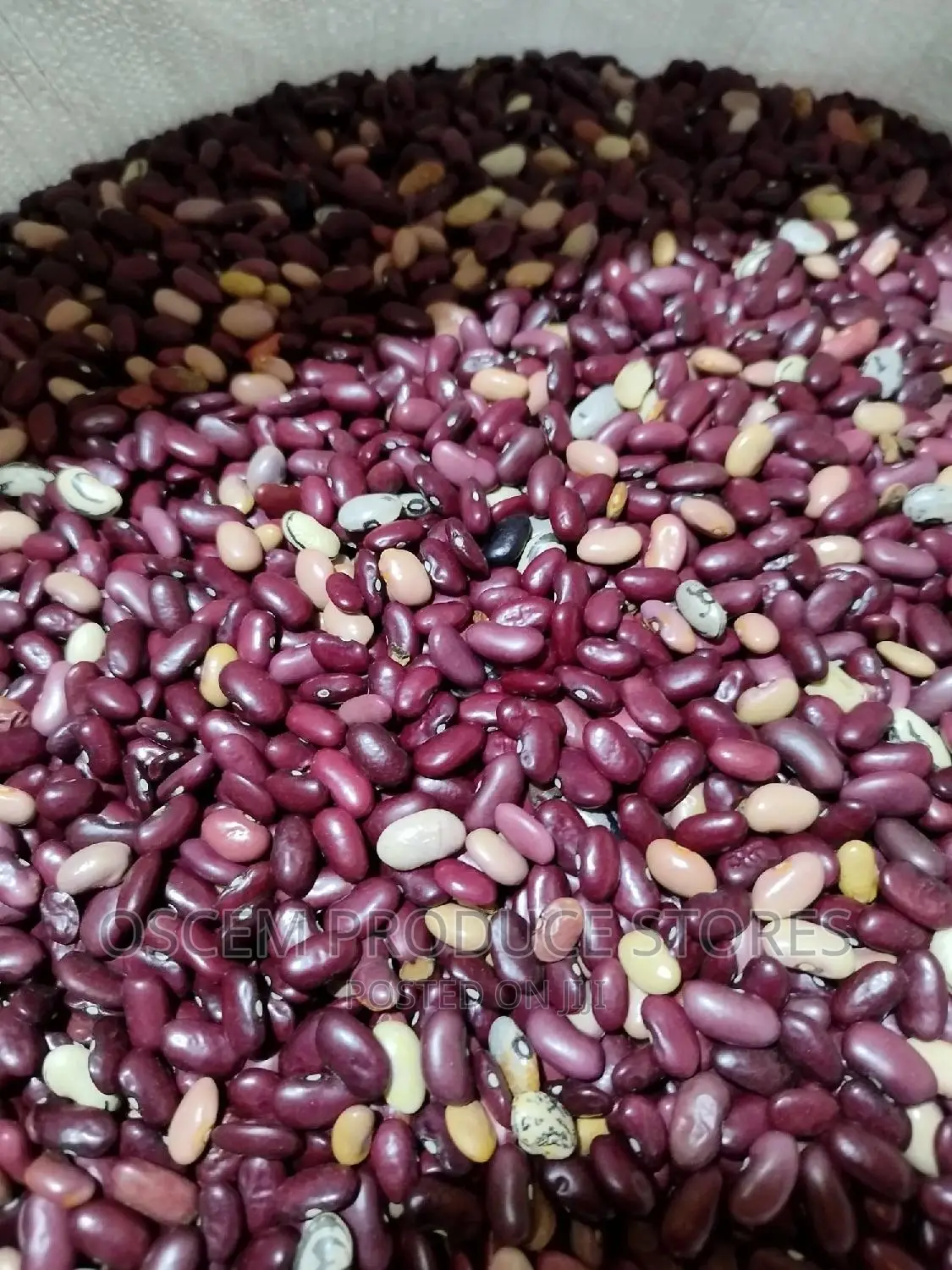 Mixed Beans