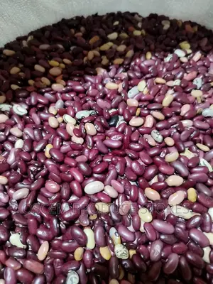Mixed Beans