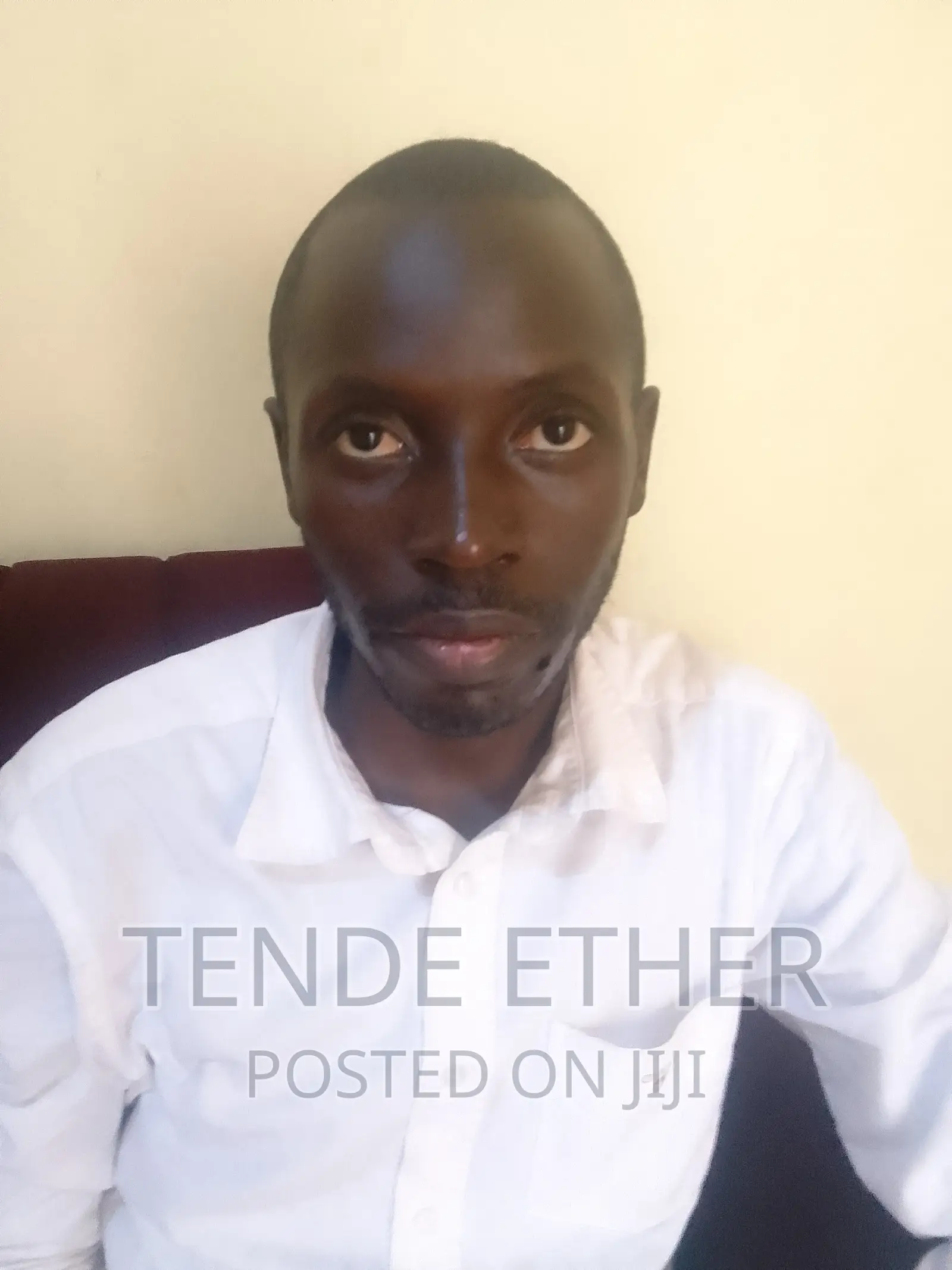 Fresher Accountant Ready to Work for You