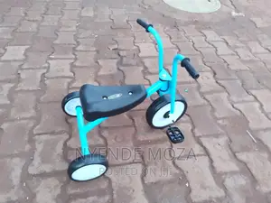 Little Kids Tricycle