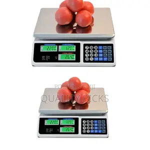 Digital Weighing Scale