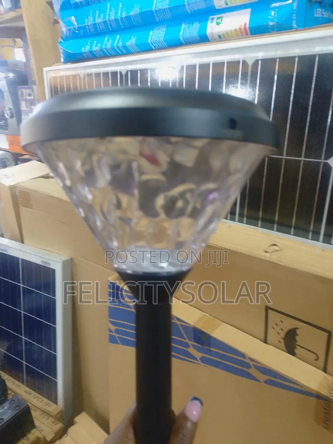 Fence and Compound Solar Light