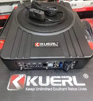 High Quality Sound Under Seat Woofers