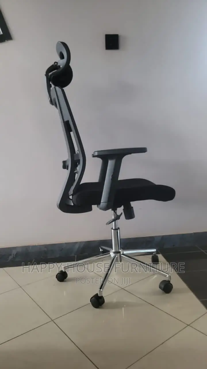 Ergonomic Office Chair