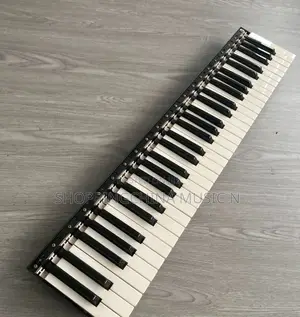 Piano Accessories Keyboard Button
