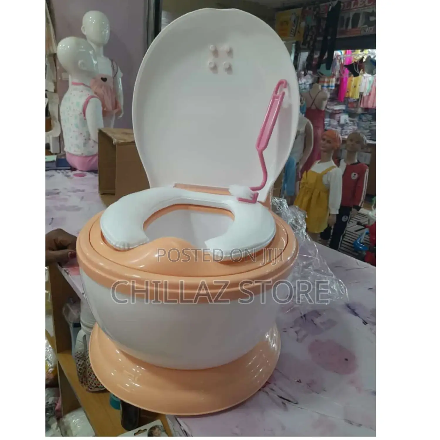Modern Potty Toilet.