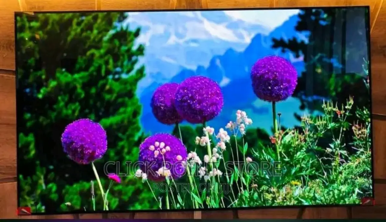 LG Nano Cell 55 Inch Tv/ 55 Inch LG Tv/ Nano Cell Tv 55 Inch