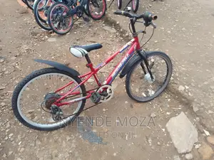 American Eagle Kids Bike.