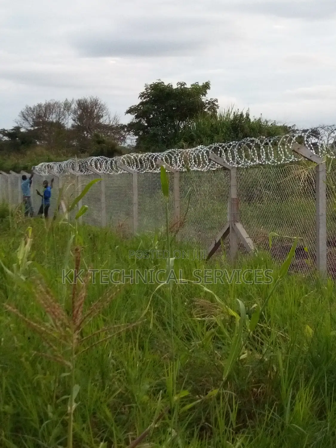 Chainlink Fencing in Central Division Building & Trade Services