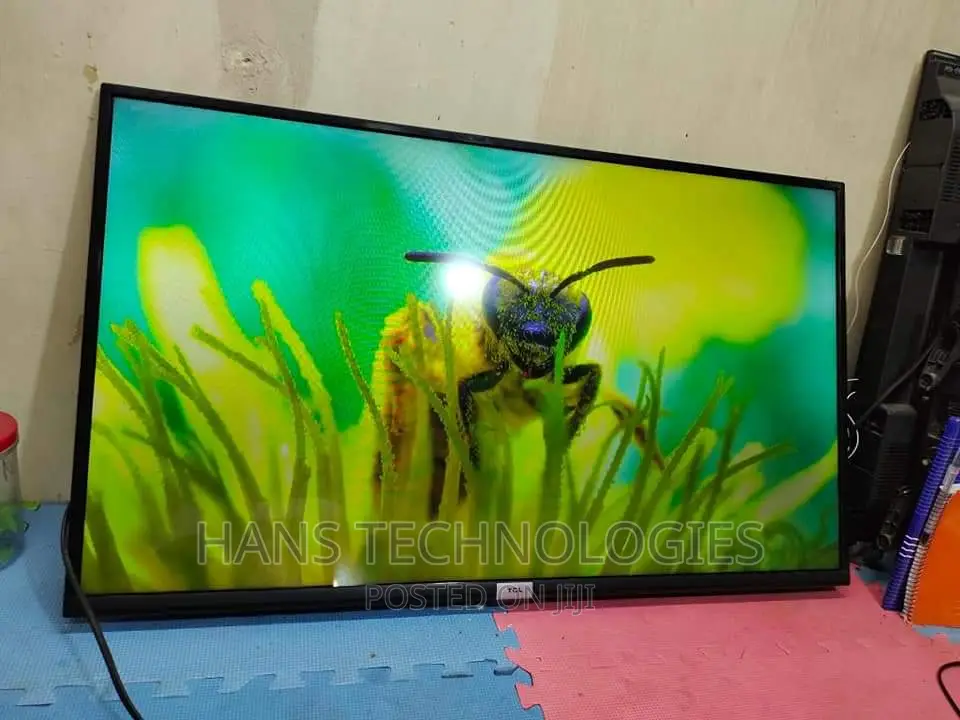 Professional TV Repair Service