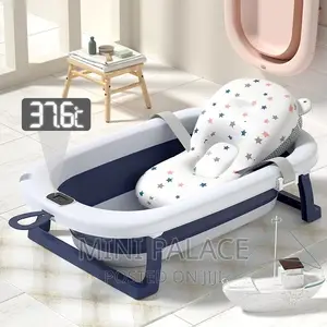 Baby Foldable Basin/Bath Tub