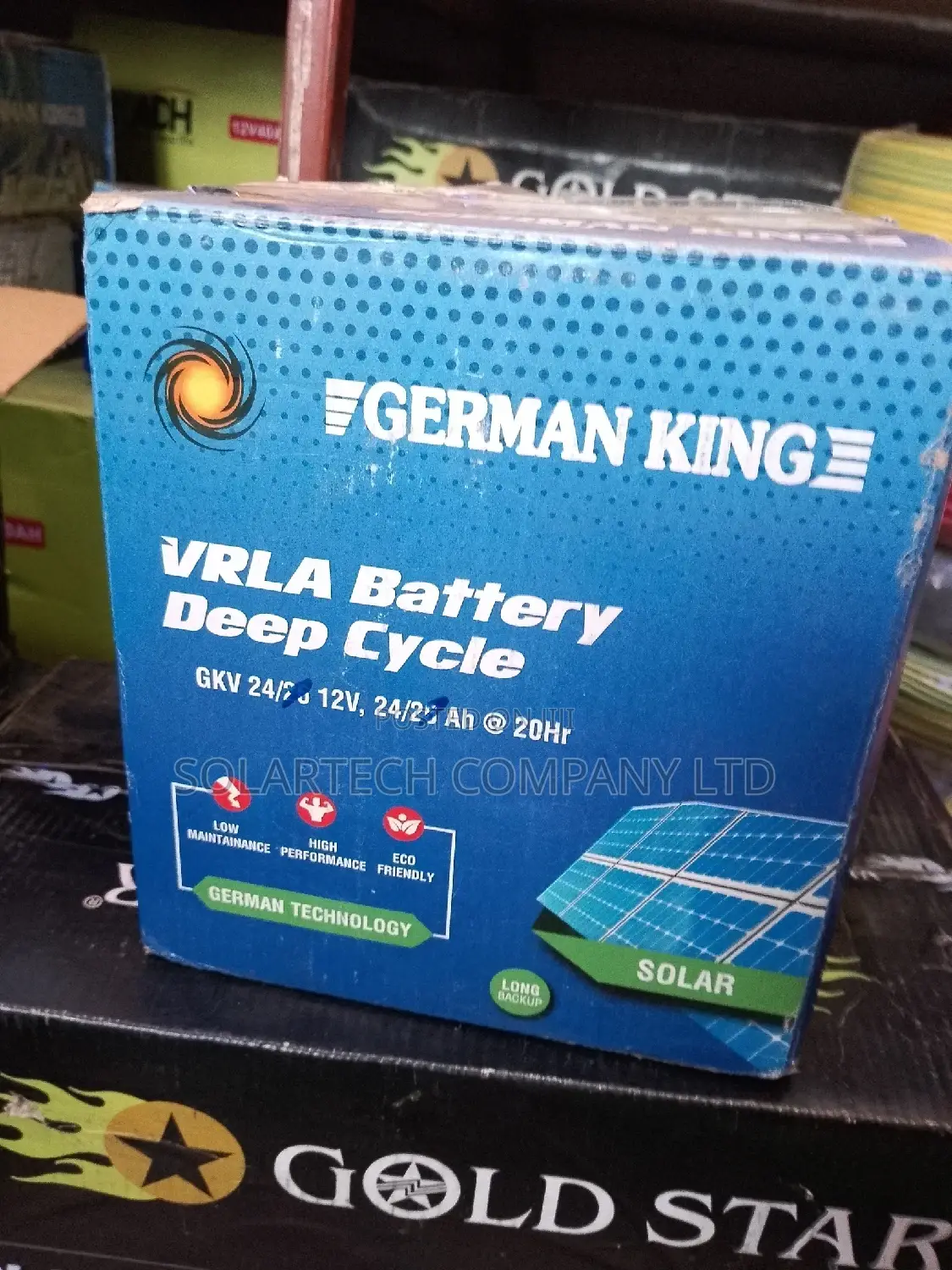 VRLA German King Battery