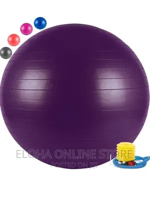High Quality Yoga Ball /Gym Ball