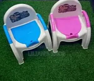 2 In1 Baby Potty