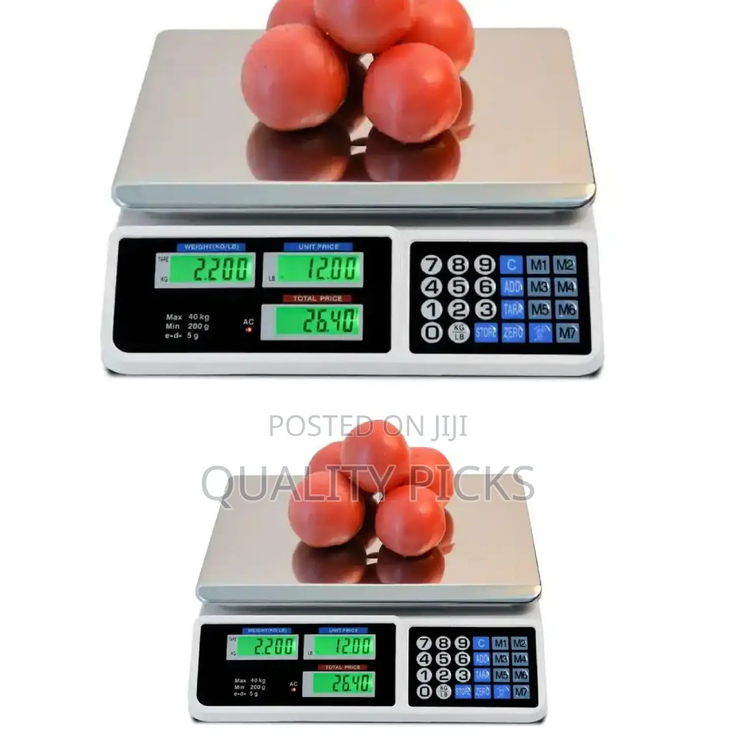 Electronic Digital Scale
