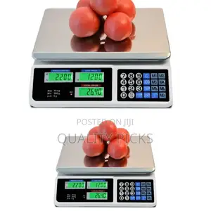Electronic Digital Scale