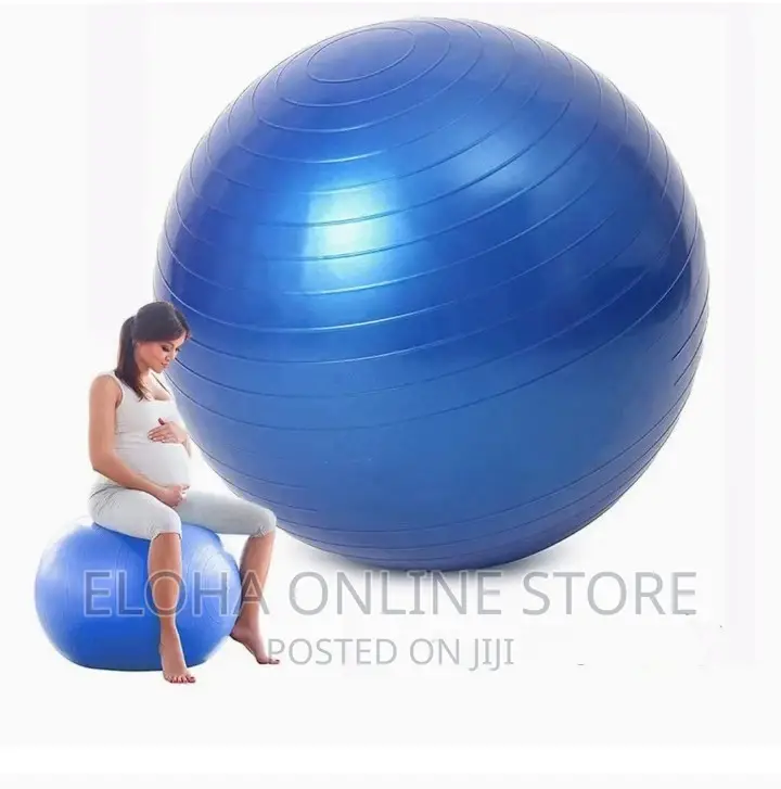 Exercise Ball/Yoga Ball