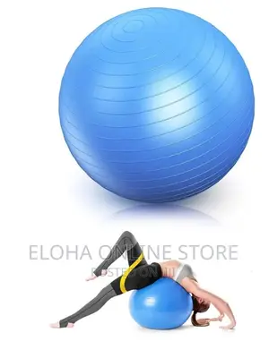 Exercise Ball/Yoga Ball