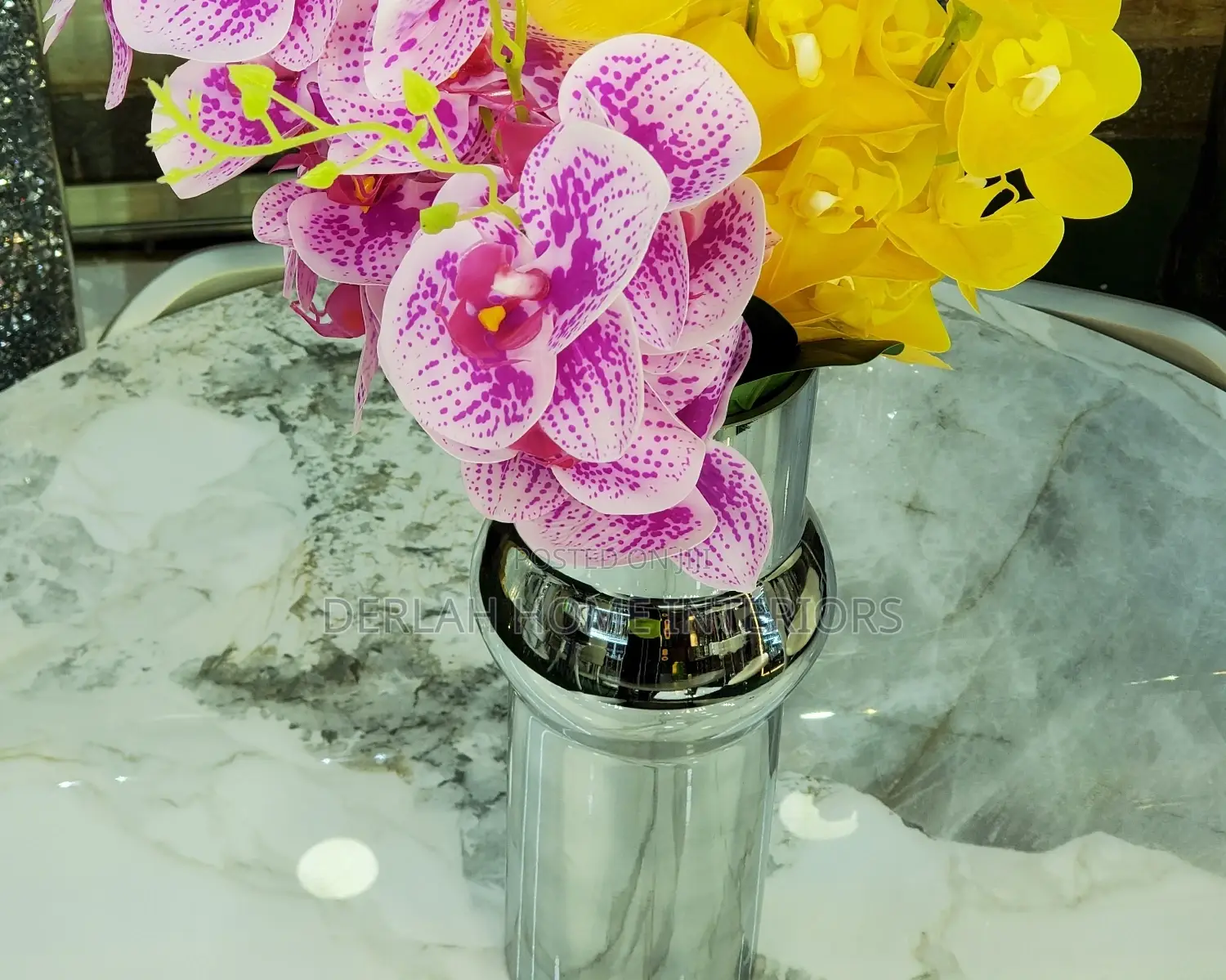 Flower and Plant