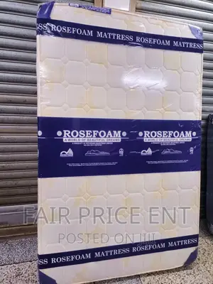 Premium High Denstity Smart Mattress.4x6x6inches.( White)