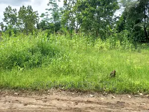 50*100 Plot for Sale