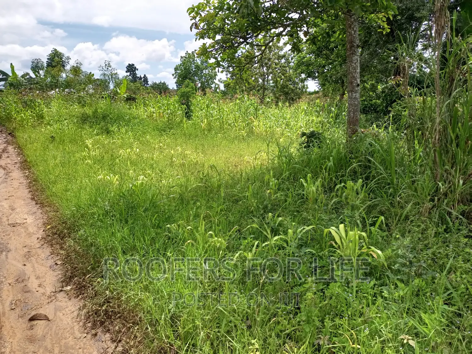 50*100 Plot for Sale
