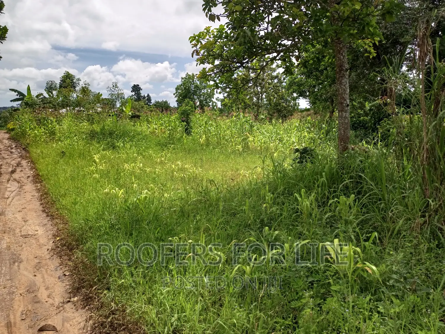 50*100 Plot for Sale