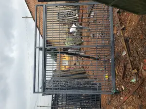 Alluminium Burglary Proof 8 by 8