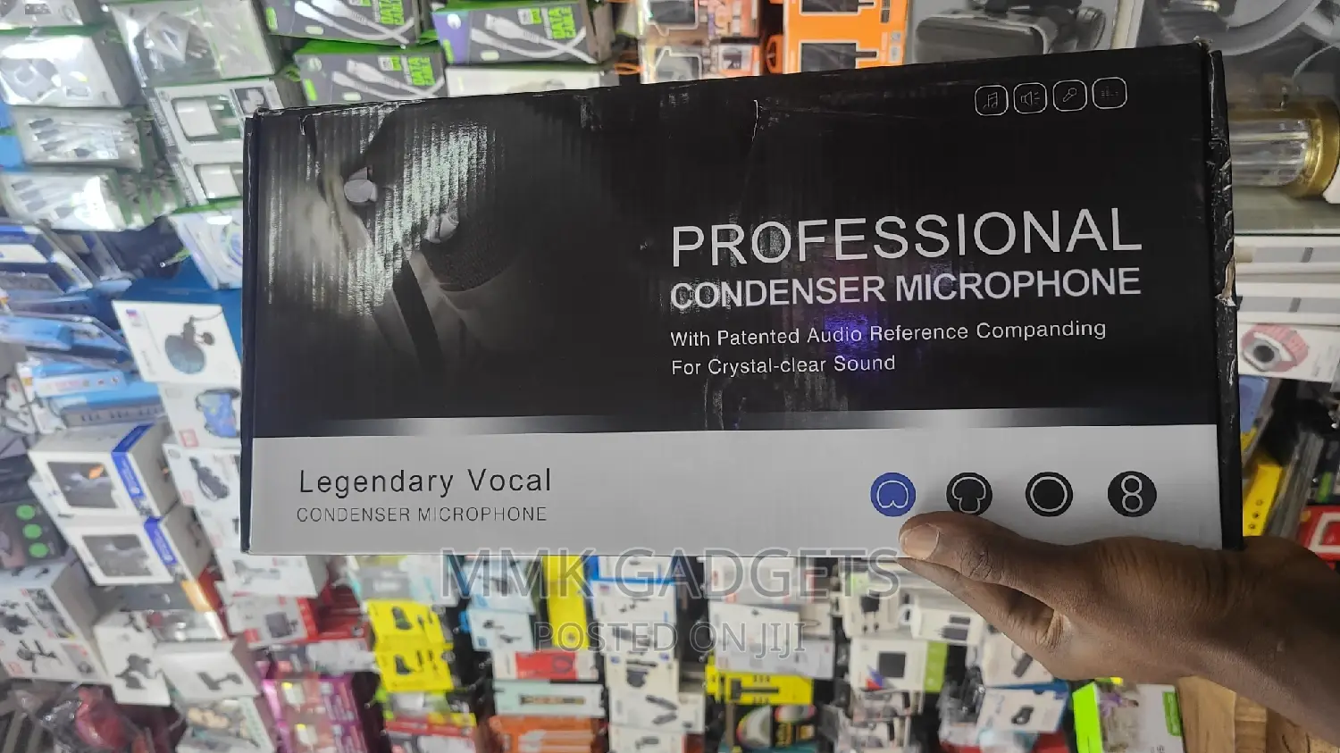Professional Condenser Microphone