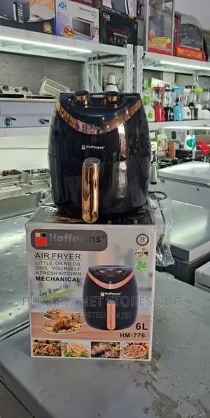 HOFFMANS 6.0L Mechanical Electric Airfryers \ 2400w \ HM-776