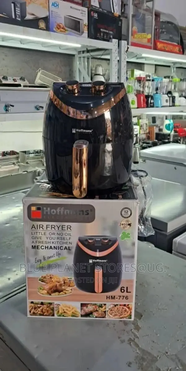 HOFFMANS 6.0L Mechanical Electric Airfryers \ 2400w \ HM-776