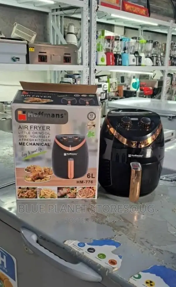 HOFFMANS 6.0L Mechanical Electric Airfryers \ 2400w \ HM-776