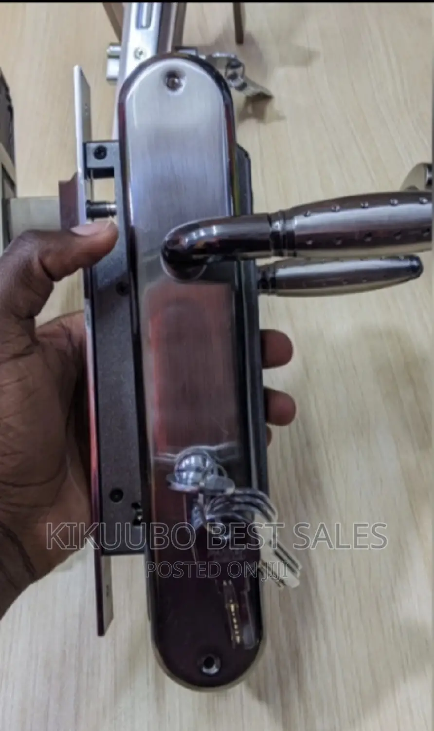 Stainless Steel Door Locks (Set)