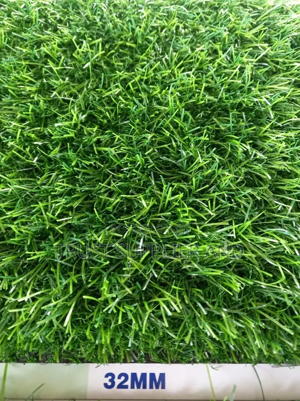 Grass Carpent