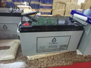 12v 65ah Freedom Battery
