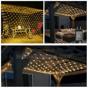 Christmas Net Light