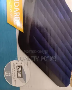 Inflatable Air Mattress