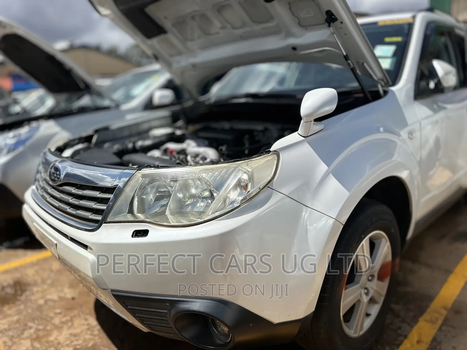 Subaru Forester 2.0D XC 2010 Pearl