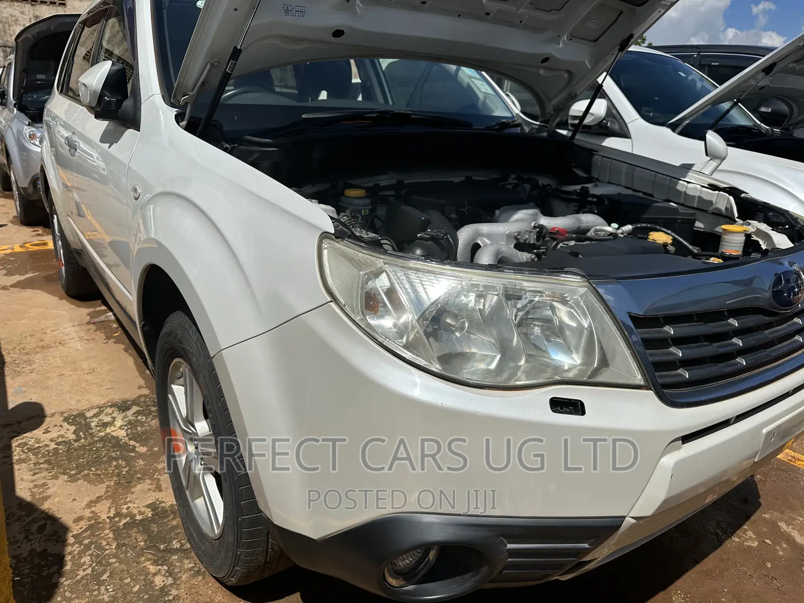 Subaru Forester 2.0D XC 2010 Pearl