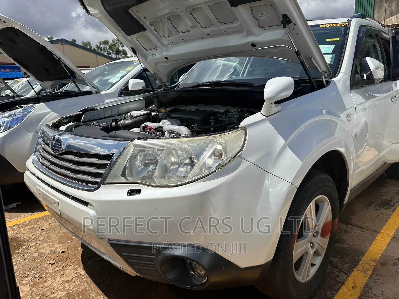 Subaru Forester 2.0D XC 2010 Pearl