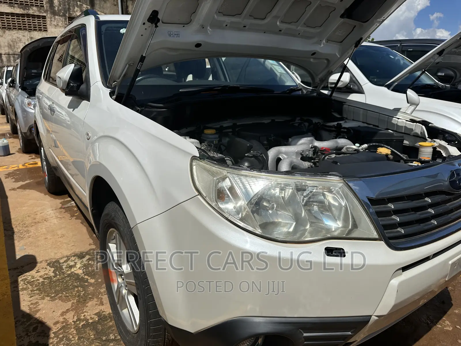 Subaru Forester 2.0D XC 2010 Pearl