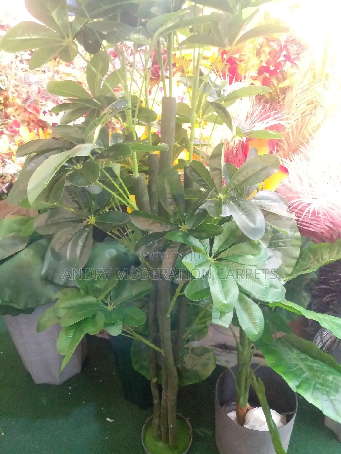 Artificial Plants and Flowers