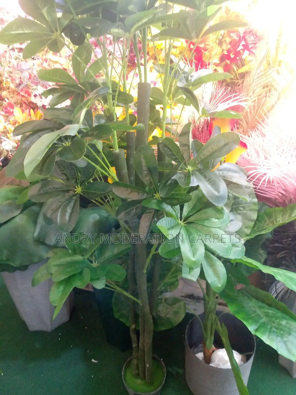 Artificial Flowers and Plants