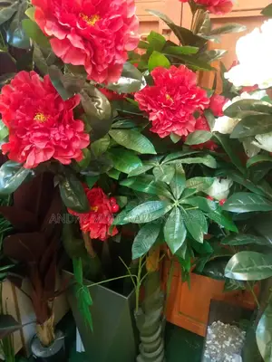 Artificial Flowers and Plants