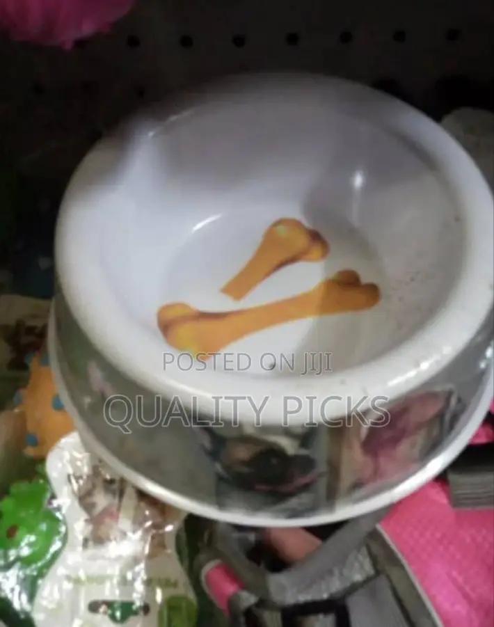 Pet Feeding Plate