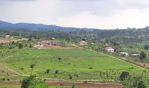 Hot Sale Plots at Kakiri Gobero-Wakiso on Termac
